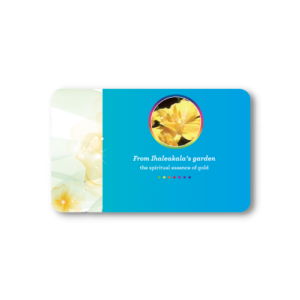 Thẻ cleaning Hoa Double Yellow Hibiscus( Hoa Dâm Bụt Cánh Kép)( Bản quyền thuộc nhóm Zero-Wise)