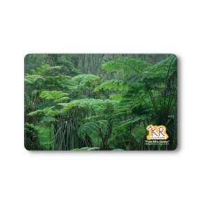 Thẻ cleaning Hapu Forest (Bản quyền thuộc KR)